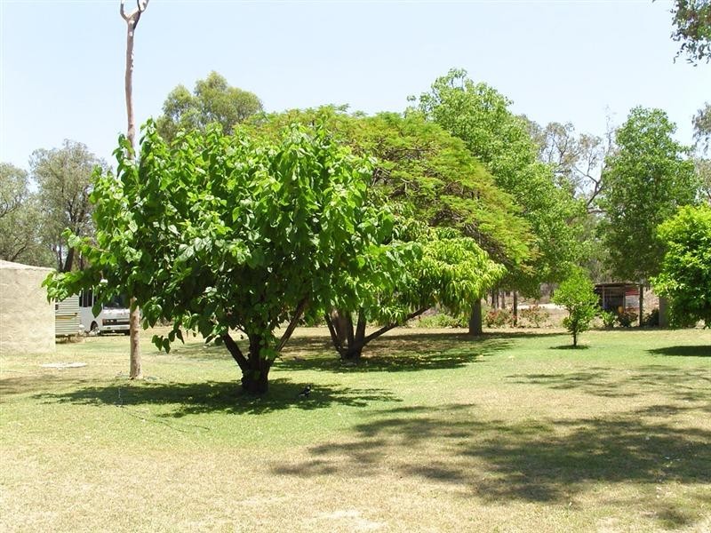 83 River Road, Sapphire QLD 4702