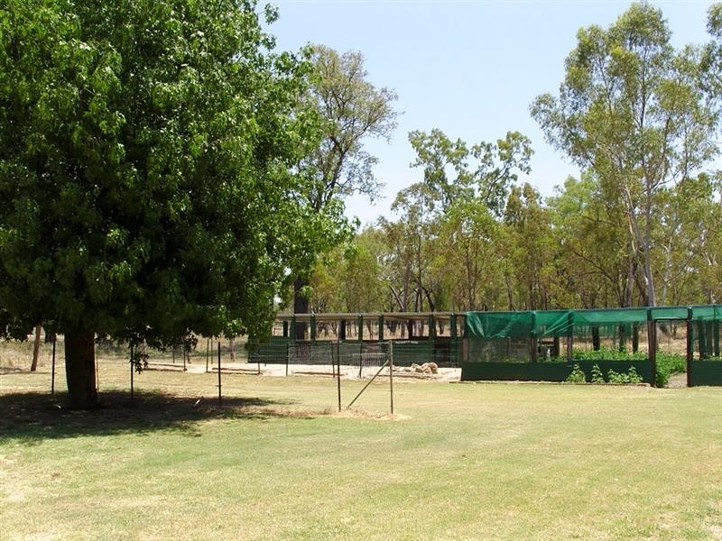 83 River Road, Sapphire QLD 4702