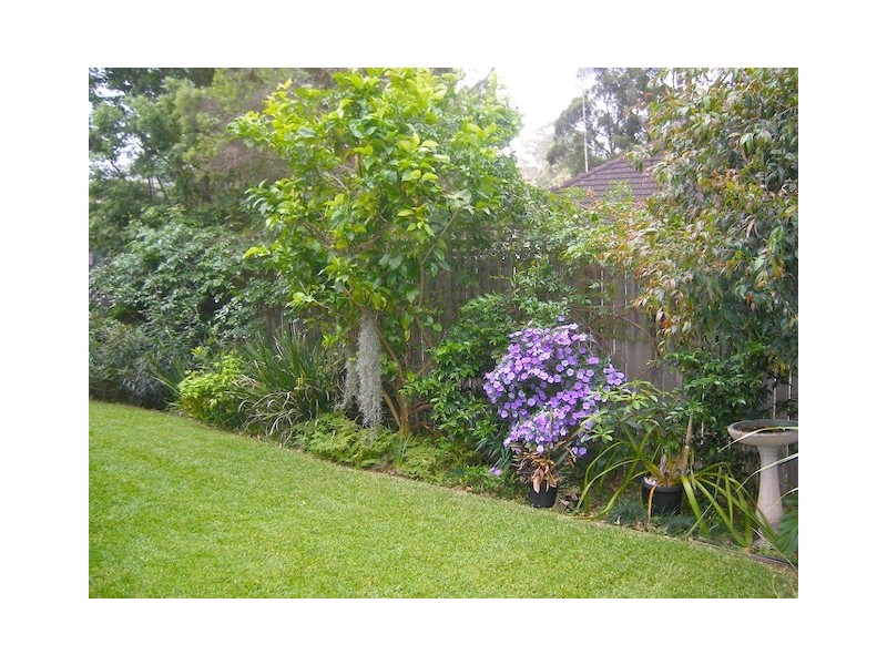 19/41-43 Robertson Street, Coniston NSW 2500