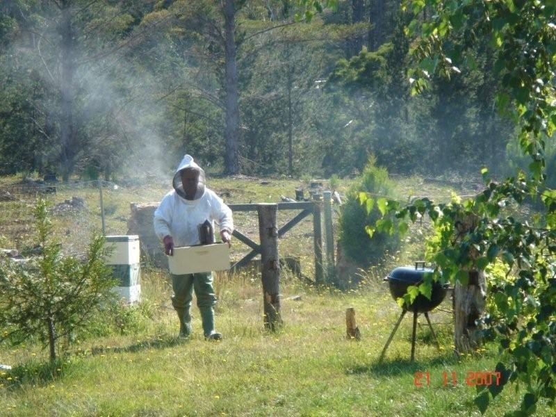 8 Corang Post Office Road, Oallen NSW 2622