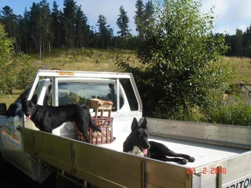 8 Corang Post Office Road, Oallen NSW 2622