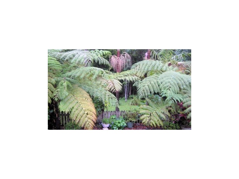 21 Kinchela Avenue, Boambee East NSW 2452