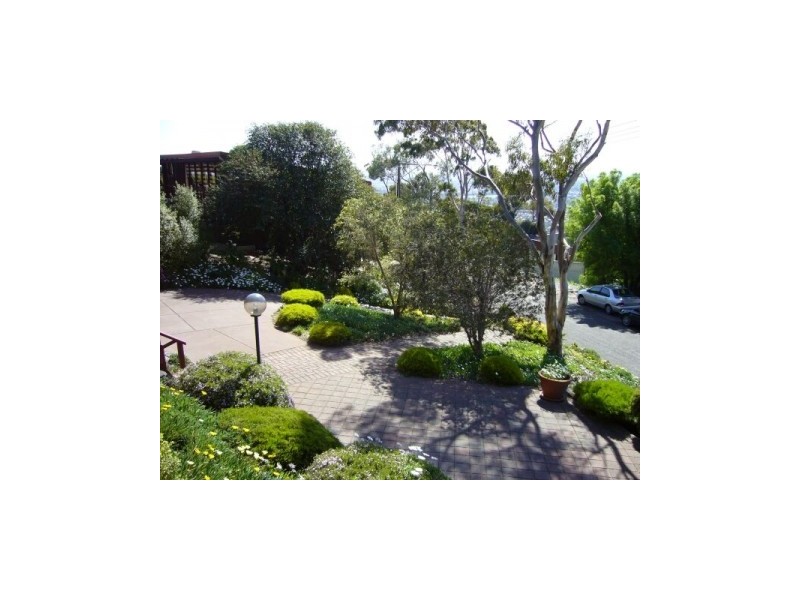 3 Oceanview Crescent, Mount Osmond SA 5064