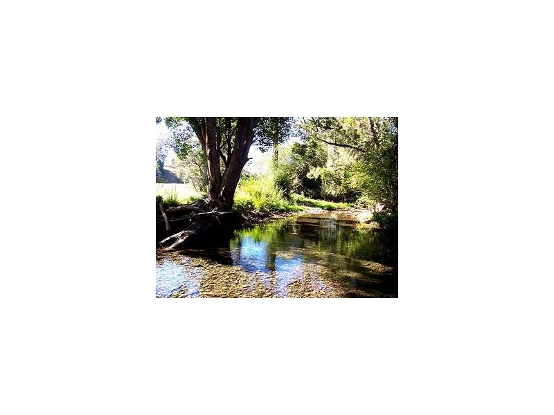 276 South Island Loop Road, Upper Orara NSW 2450