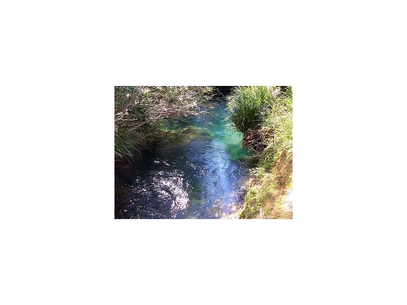 276 South Island Loop Road, Upper Orara NSW 2450