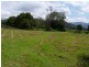 276 South Island Loop Road, Upper Orara NSW 2450