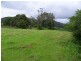 276 South Island Loop Road, Upper Orara NSW 2450