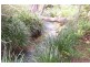 276 South Island Loop Road, Upper Orara NSW 2450