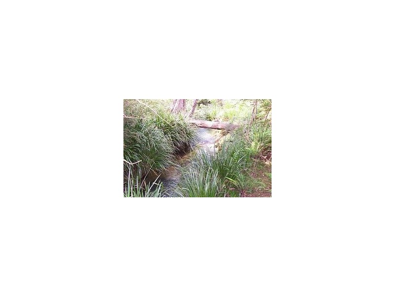 276 South Island Loop Road, Upper Orara NSW 2450