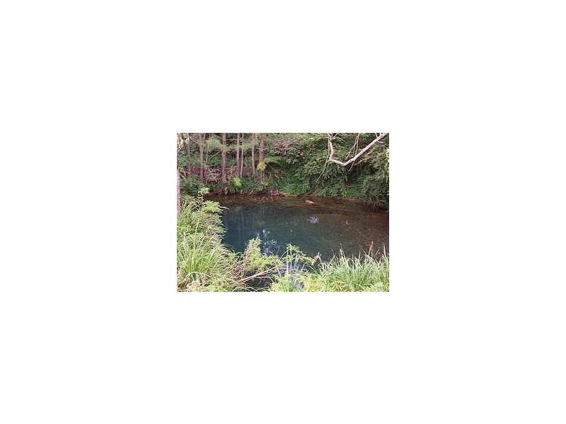 276 South Island Loop Road, Upper Orara NSW 2450