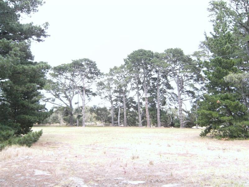 12 Kevian Park Drive, Wallington VIC 3221