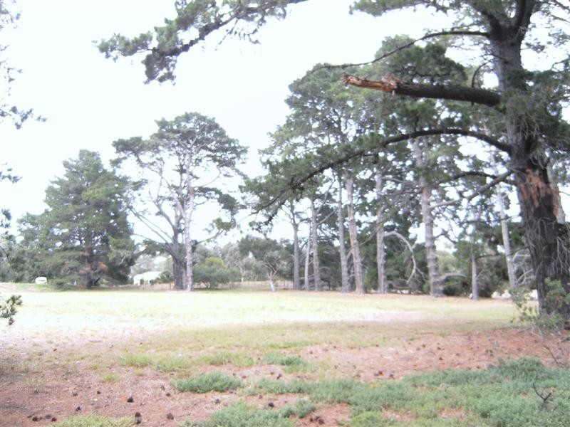 12 Kevian Park Drive, Wallington VIC 3221