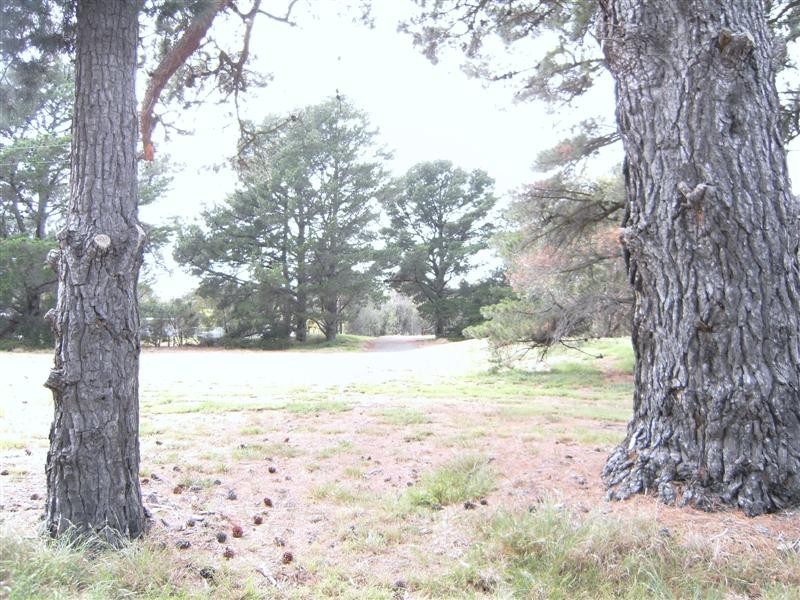 12 Kevian Park Drive, Wallington VIC 3221