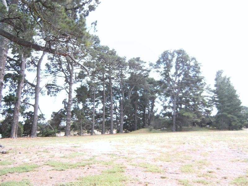 12 Kevian Park Drive, Wallington VIC 3221