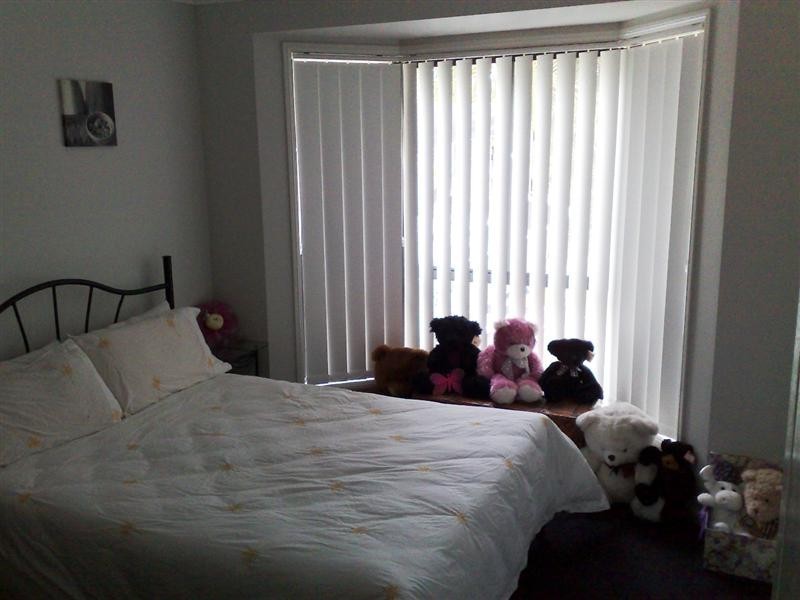 19 Norman Court, Upper Coomera QLD 4209