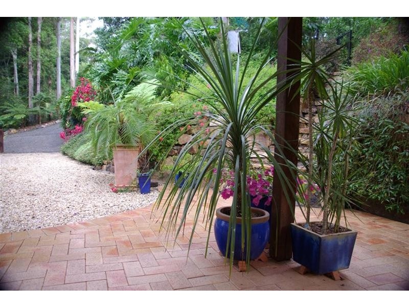 720 Kalang Road, Bellingen NSW 2454