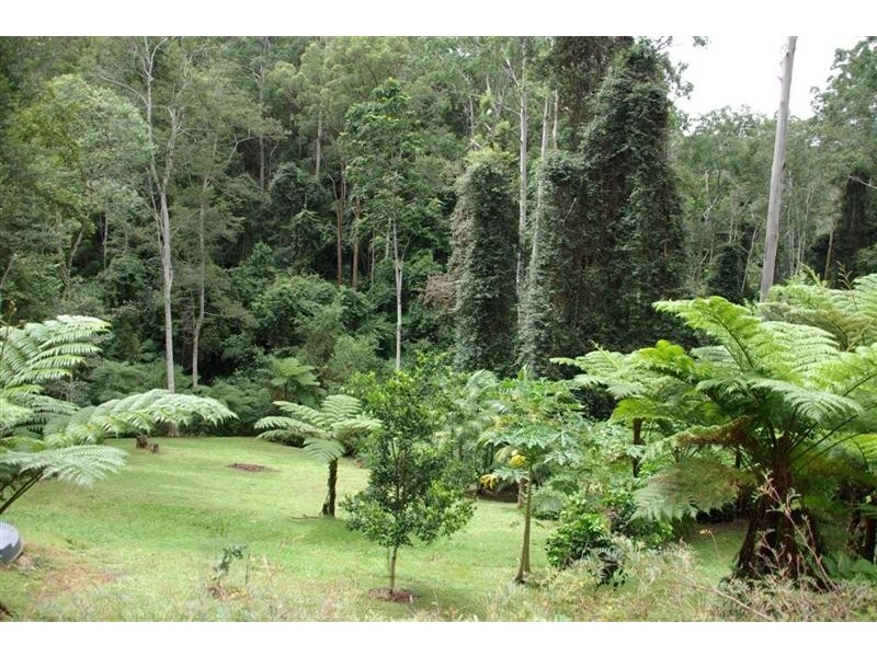 720 Kalang Road, Bellingen NSW 2454