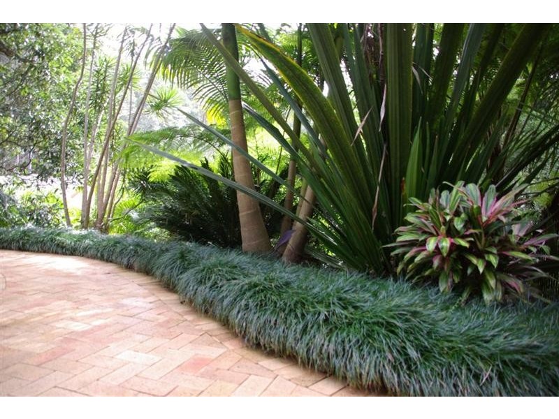 720 Kalang Road, Bellingen NSW 2454