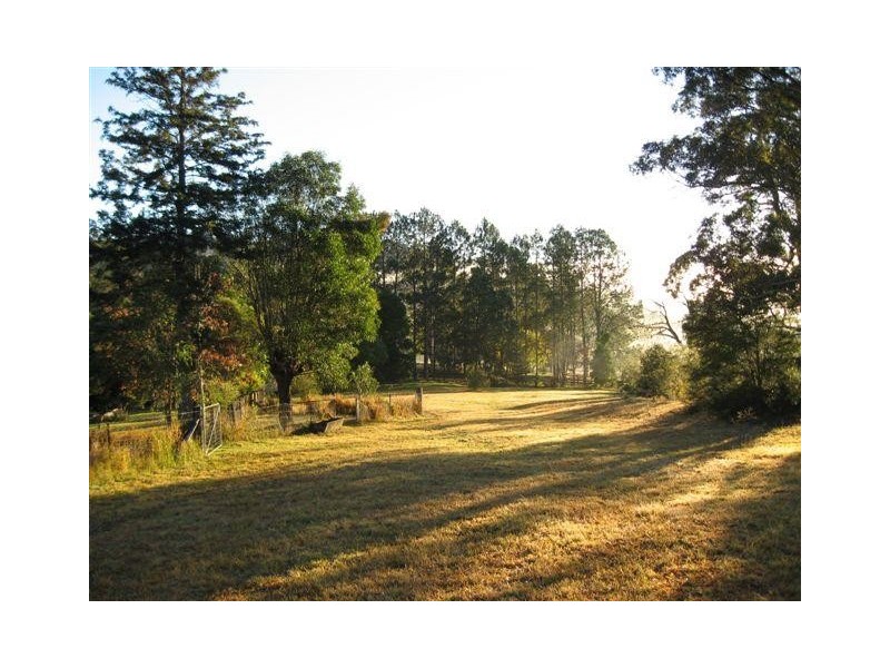 1044 Comboyne Road, Byabarra NSW 2446