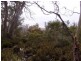 RA223 Barren Plains Road, Miena TAS 7030