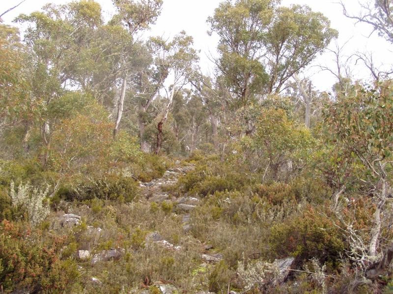 RA223 Barren Plains Road, Miena TAS 7030