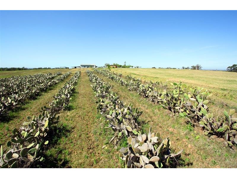 59 Bullridge Road, East Kurrajong NSW 2758