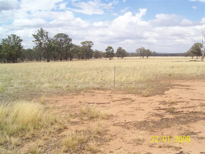 323 Cedar Road, Temora NSW 2666