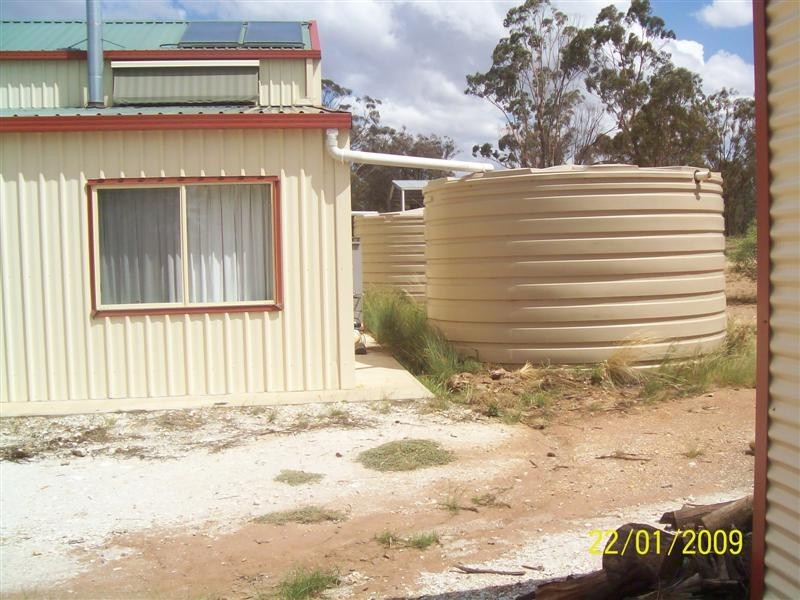 323 Cedar Road, Temora NSW 2666