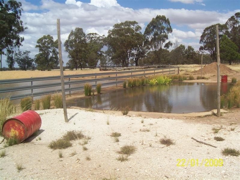 323 Cedar Road, Temora NSW 2666