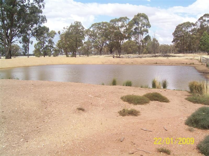 323 Cedar Road, Temora NSW 2666