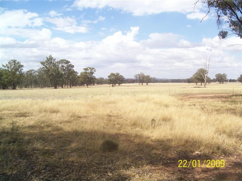 323 Cedar Road, Temora NSW 2666
