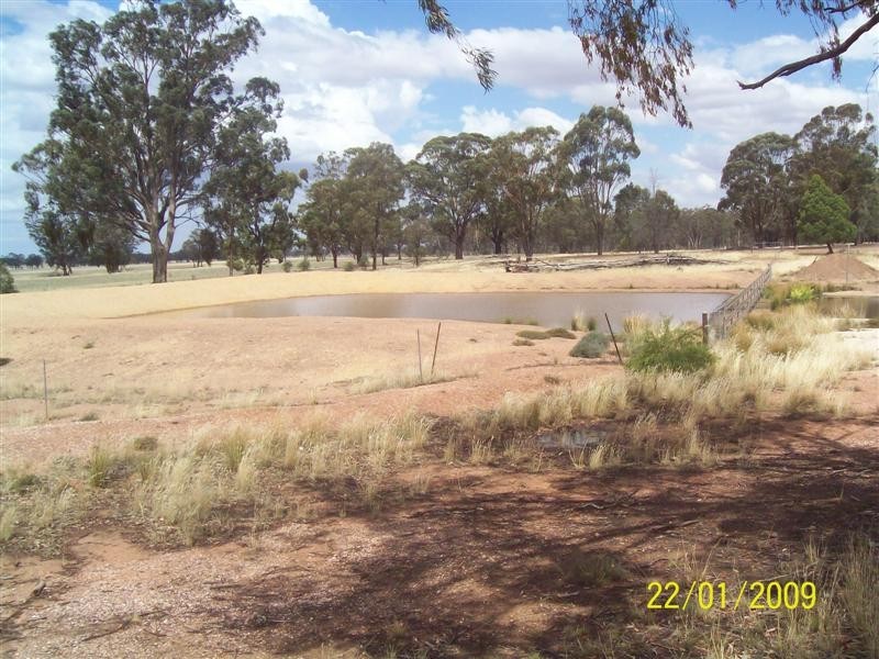 323 Cedar Road, Temora NSW 2666