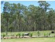 45 Bellbird Drive, Bucca QLD 4670