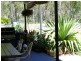 45 Bellbird Drive, Bucca QLD 4670