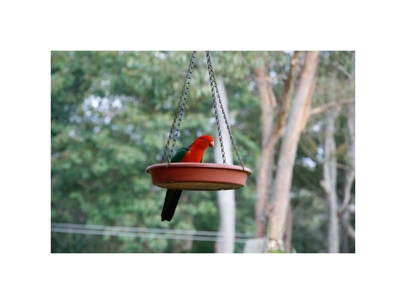 168 Arcadia Road, Arcadia NSW 2159