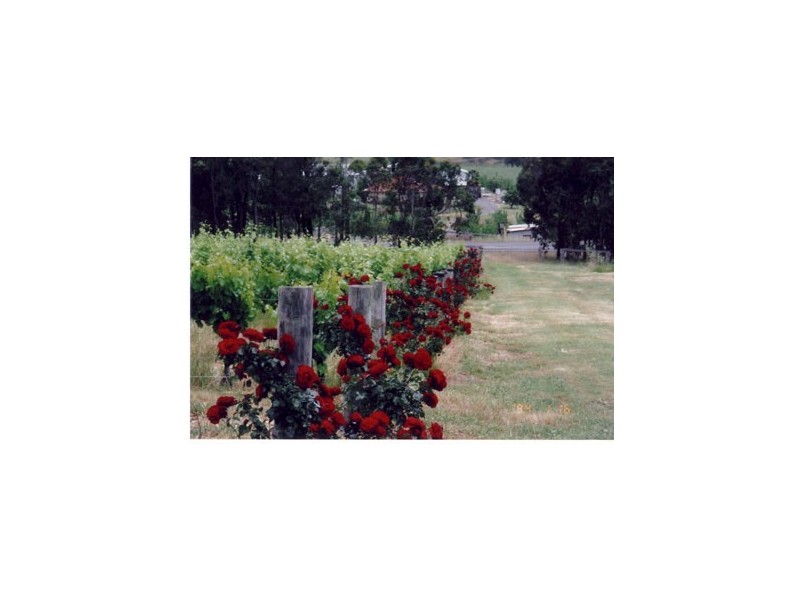 51 Needes Road, Donnybrook WA 6239