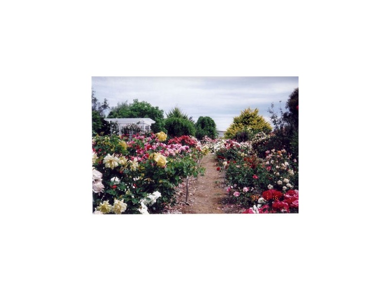 51 Needes Road, Donnybrook WA 6239