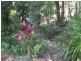 293 Rawdon Island Road, Sancrox NSW 2446