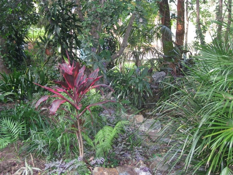 293 Rawdon Island Road, Sancrox NSW 2446