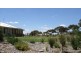 3846 Murringo Road, Young NSW 2594
