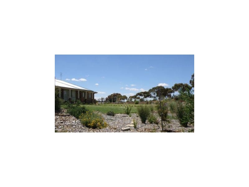 3846 Murringo Road, Young NSW 2594