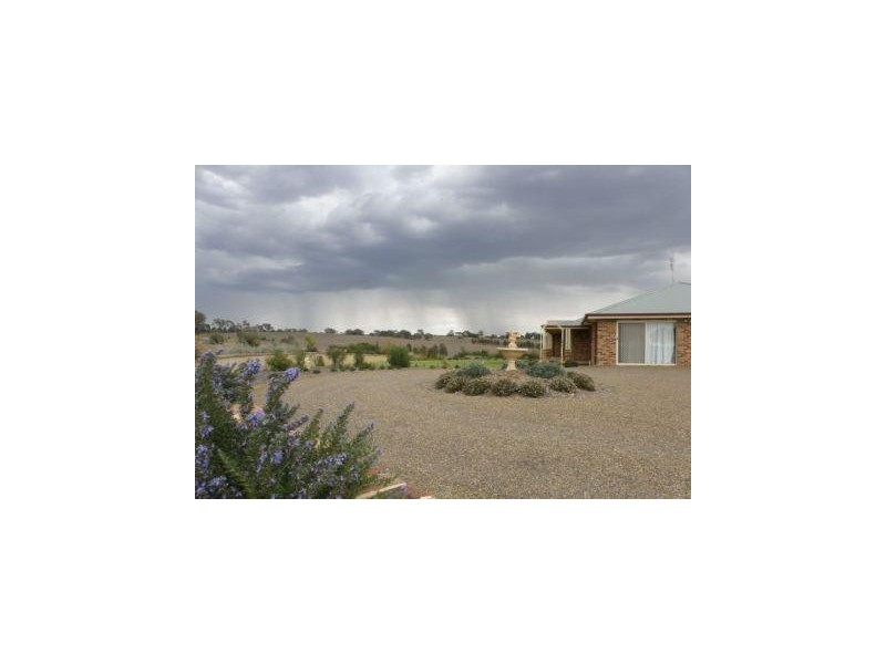 3846 Murringo Road, Young NSW 2594
