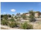 3846 Murringo Road, Young NSW 2594