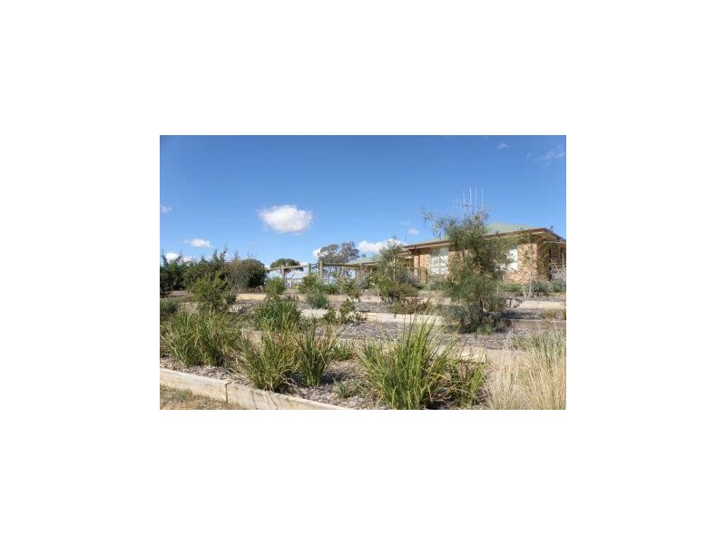 3846 Murringo Road, Young NSW 2594
