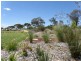 3846 Murringo Road, Young NSW 2594