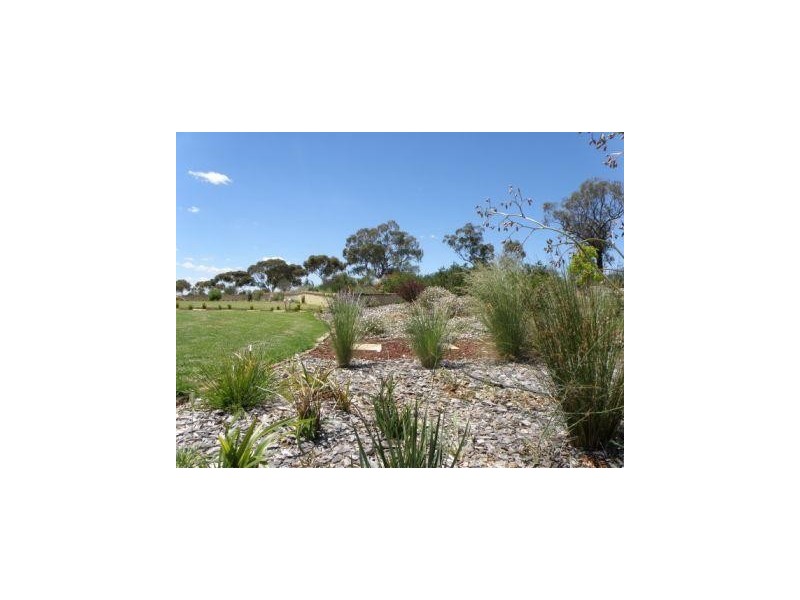3846 Murringo Road, Young NSW 2594