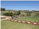 3846 Murringo Road, Young NSW 2594