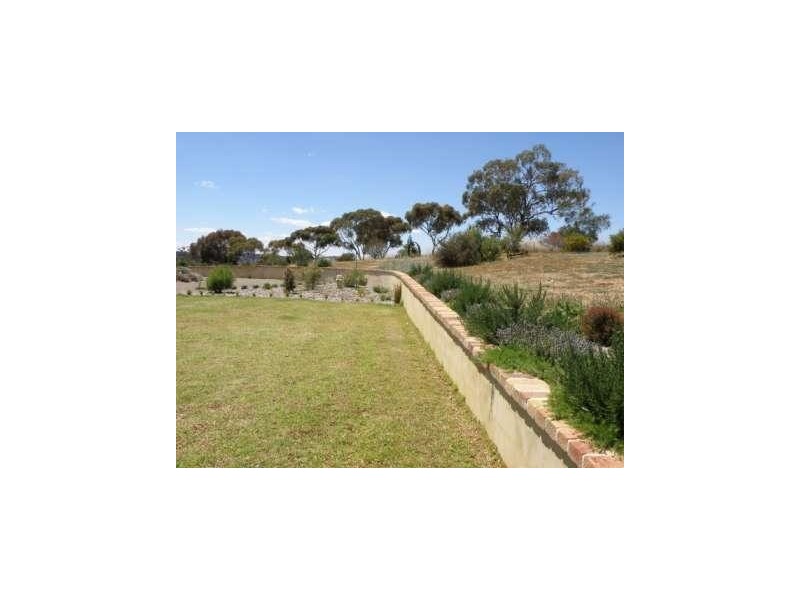 3846 Murringo Road, Young NSW 2594