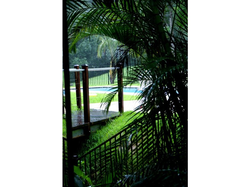 3 Rosella Road, Federal NSW 2480