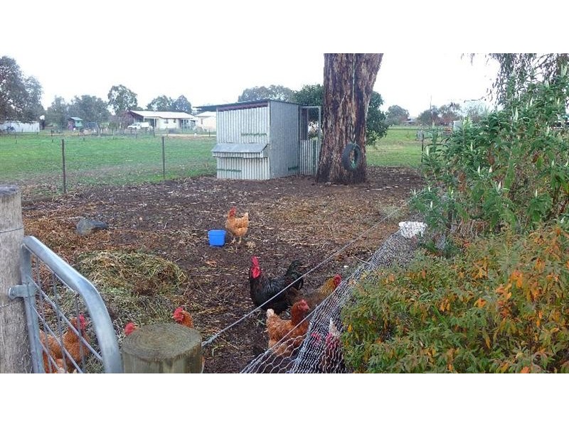 47 Baird Street, Culcairn NSW 2660